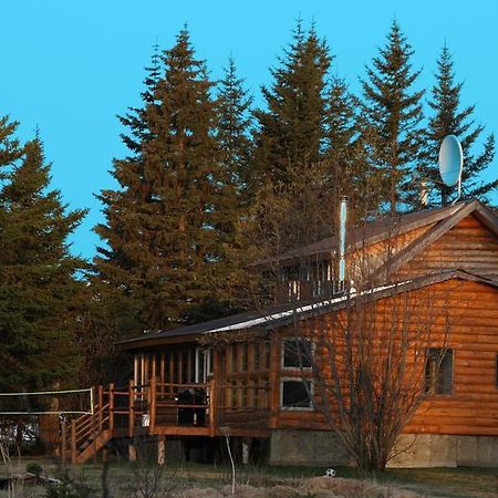 Bear Den Vacation Home Anchor Point Rum bild