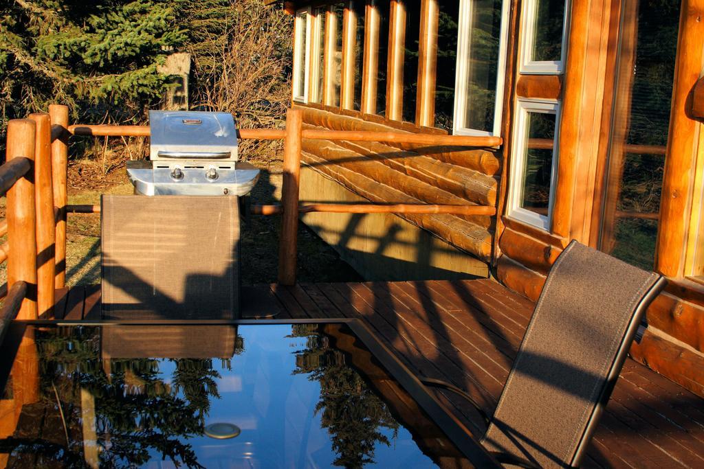 Bear Den Vacation Home Anchor Point Rum bild