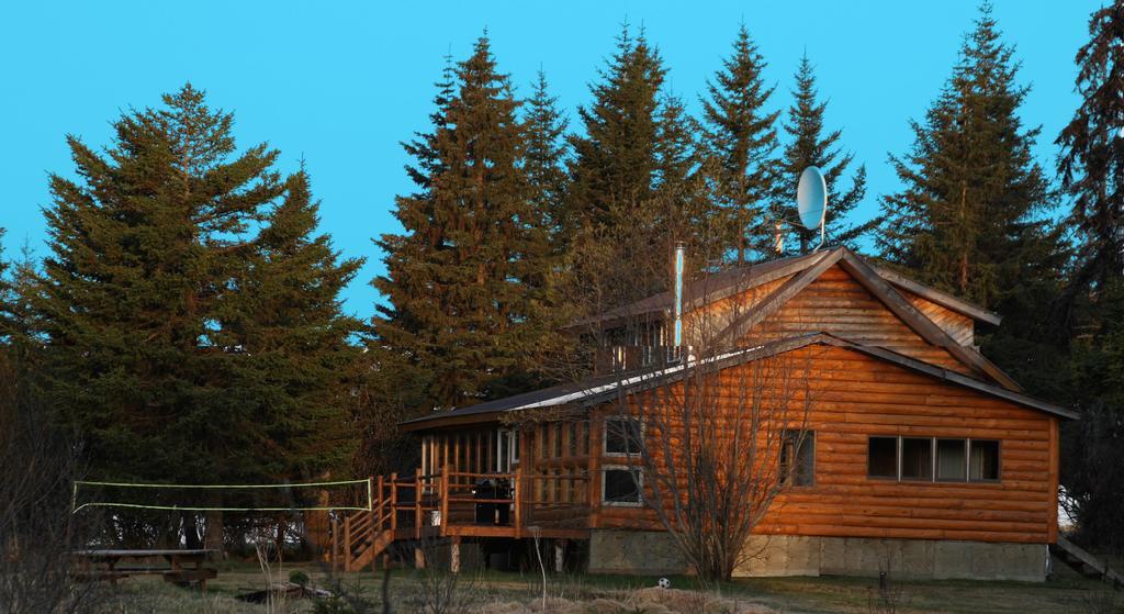Bear Den Vacation Home Anchor Point Rum bild